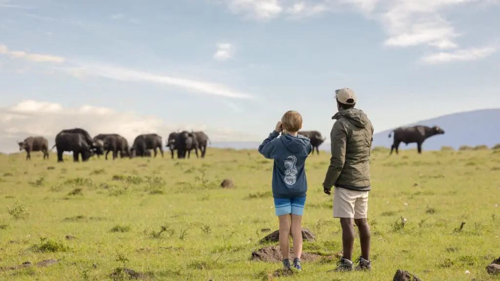 Walking Safaris