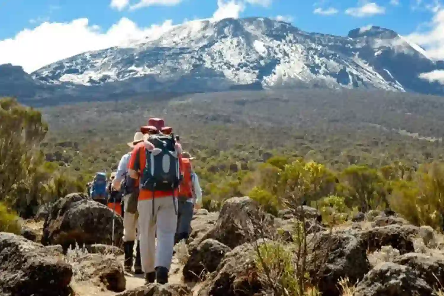 kilimanjaro-lemosho-route