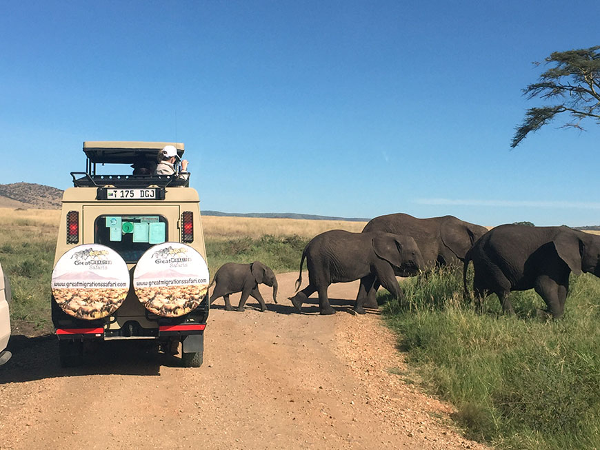 tarangire national park